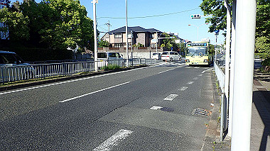 p5071224_thumb.jpg
