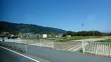 p5071233_thumb.jpg