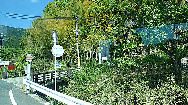 p5071237_thumb.jpg