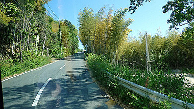 p5071238_thumb.jpg