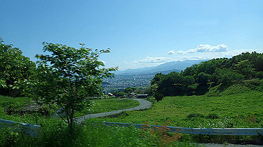p5071241_thumb.jpg
