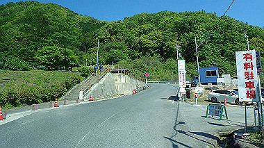 p5071246_thumb.jpg
