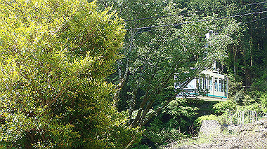 p5071257_thumb.jpg