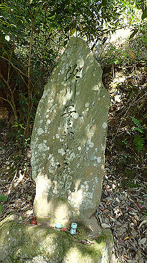 p5071263_thumb.jpg