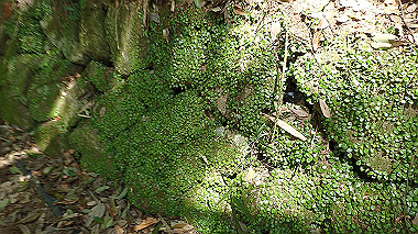 p5071264_thumb.jpg