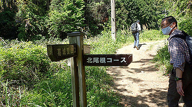 p5071265_thumb.jpg
