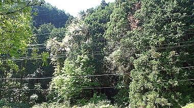 p5071267_thumb.jpg