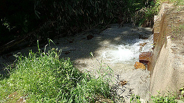 p5071270_thumb.jpg