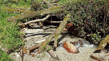 p5071272_thumb.jpg