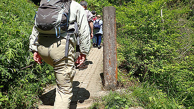 p5071273_thumb.jpg