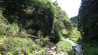 p5071274_thumb.jpg