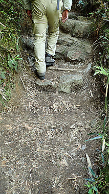 p5071279_thumb.jpg