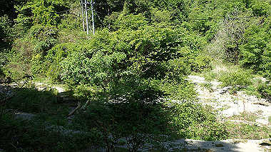 p5071281_thumb.jpg