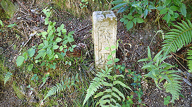 p5071283_thumb.jpg