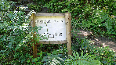 p5071288_thumb.jpg