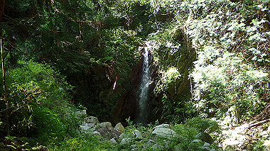p5071290_thumb.jpg