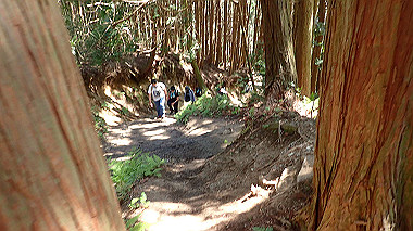 p5071299_thumb.jpg