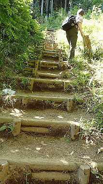 p5071302_thumb.jpg