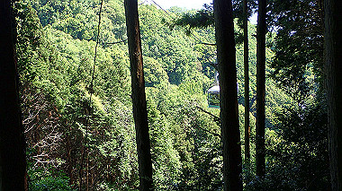 p5071304_thumb.jpg