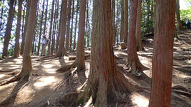 p5071308_thumb.jpg