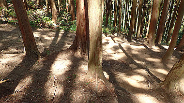 p5071309_thumb.jpg