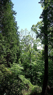 p5071311_thumb.jpg