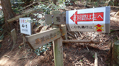 p5071315_thumb.jpg