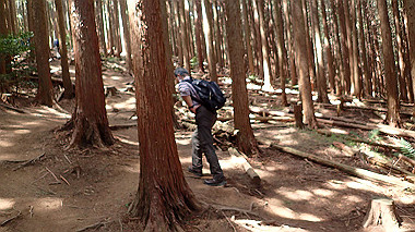 p5071320_thumb.jpg
