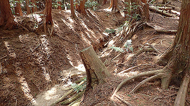 p5071322_thumb.jpg