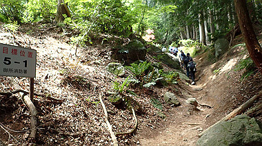 p5071326_thumb.jpg