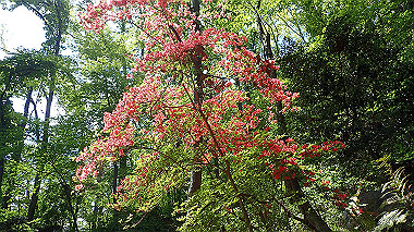 p5071327_thumb.jpg