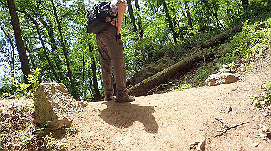 p5071328_thumb.jpg