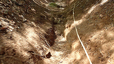 p5071332_thumb.jpg