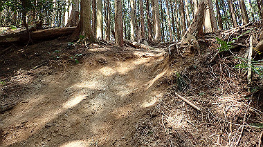 p5071333_thumb.jpg