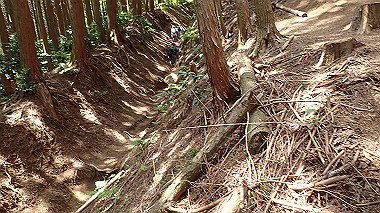 p5071334_thumb.jpg