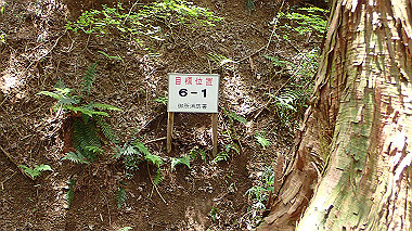 p5071337_thumb.jpg