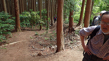p5071343_thumb.jpg
