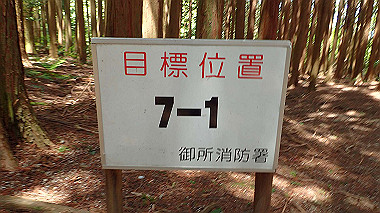 p5071348_thumb.jpg