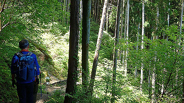 p5071355_thumb.jpg