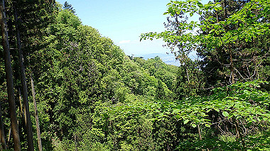 p5071357_thumb.jpg