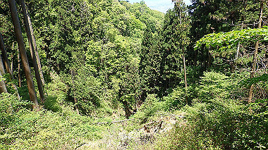 p5071358_thumb.jpg