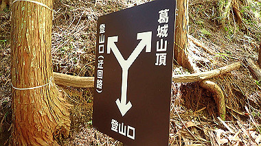 p5071361_thumb.jpg
