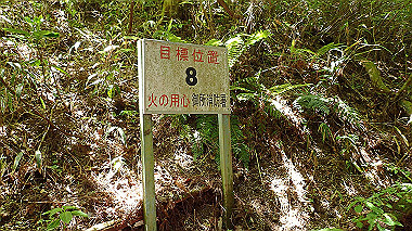 p5071363_thumb.jpg