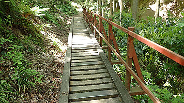 p5071366_thumb.jpg