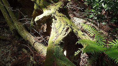 p5071372_thumb.jpg