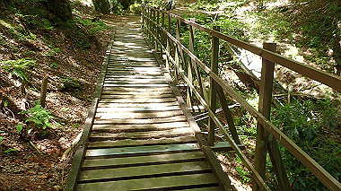 p5071375_thumb.jpg