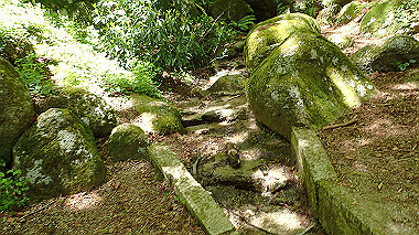 p5071377_thumb.jpg