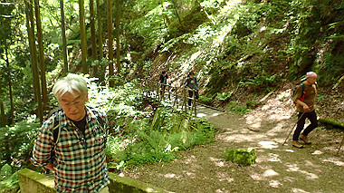 p5071378_thumb.jpg