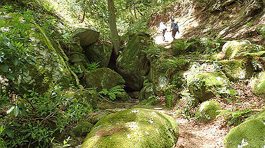 p5071379_thumb.jpg