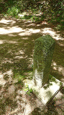 p5071381_thumb.jpg